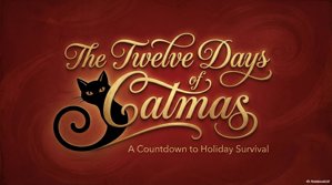 The Twelve Days of Catmas